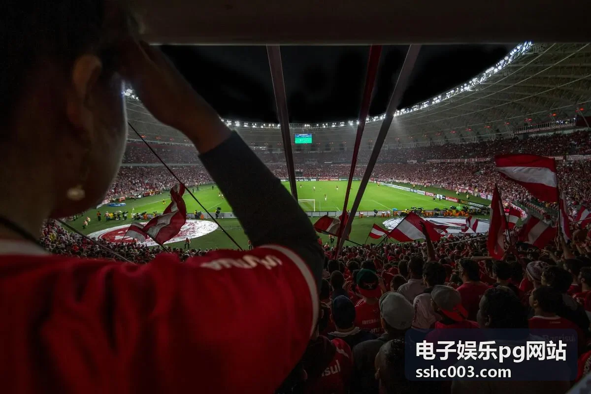 电子娱乐pg网站桌面端沉浸体验